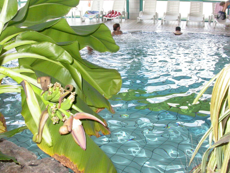 Radno vrijeme 1. svibnja 2026.